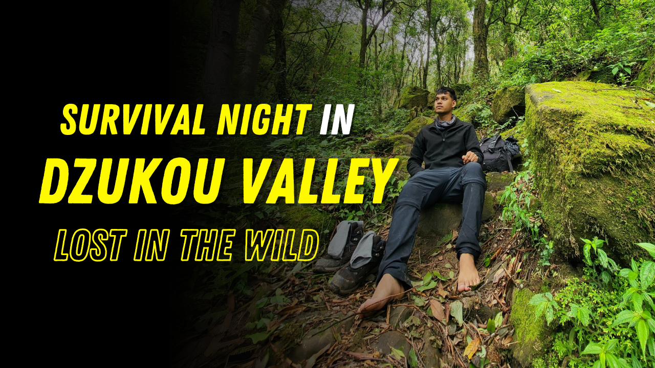 YouTube Thumbnail - Inu Etc Portfolio New (1)